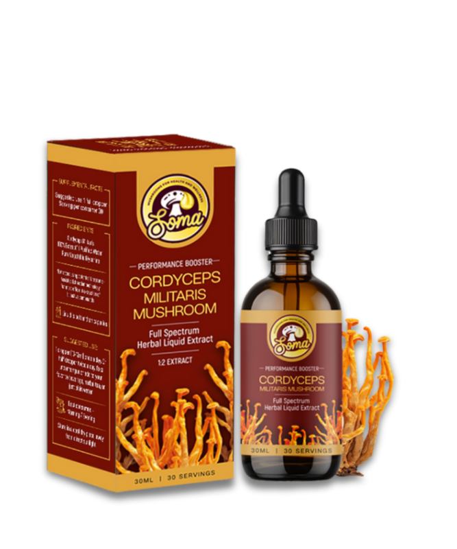 Medicinal Mushroom Supplements 