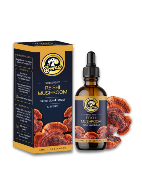 Medicinal Mushroom Supplements 