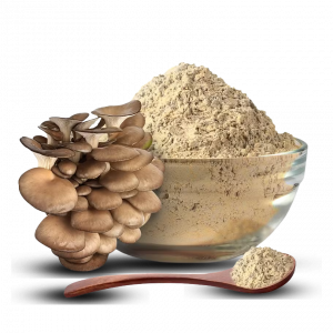 Oyster Dried Powder