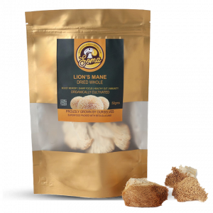 Lion’s Mane Dried Whole