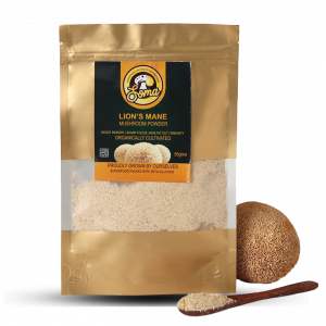 Lion’s Mane Dried Powder