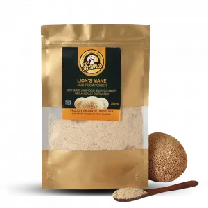 Lion’s Mane Dried Powder