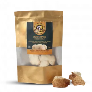 Lion’s Mane Dried Whole