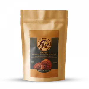 Reishi Dried Powder