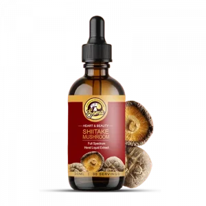 Shiitake Liquid Extract