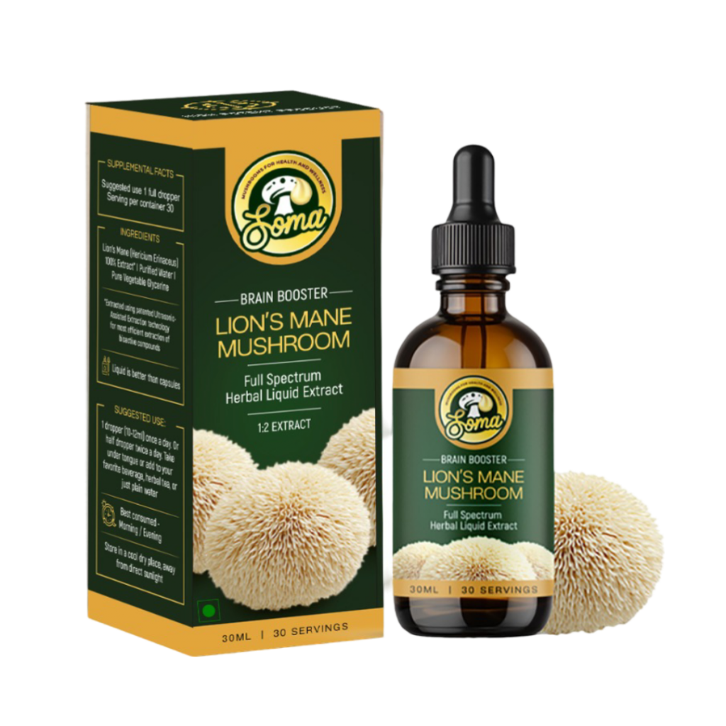 Lion’s Mane Mushroom Supplement