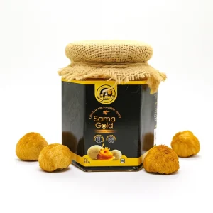 Lion's Mane Infused Honey