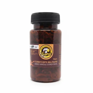 Cordyceps Whole (30gm)