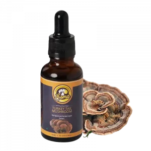 Turkeytail Liquid Extract