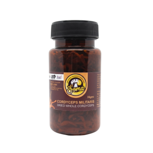 Cordyceps Whole (30gm)