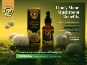 Functional Mushrooms