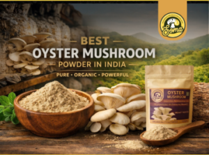 Best oyster mushroom powder