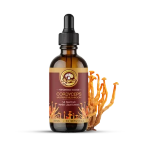 best medicinal mushrooms in India