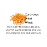 Cordyceps Whole Dried - Image 2
