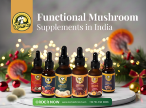 Functional Mushroom Supplements in India