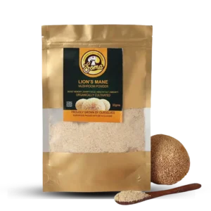 best medicinal mushrooms in India