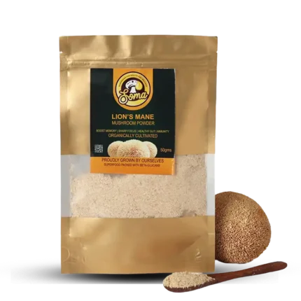 best medicinal mushrooms in India