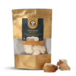 best medicinal mushrooms in India