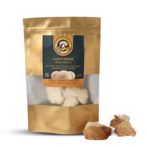 best medicinal mushrooms in India