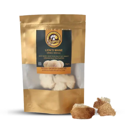 best medicinal mushrooms in India