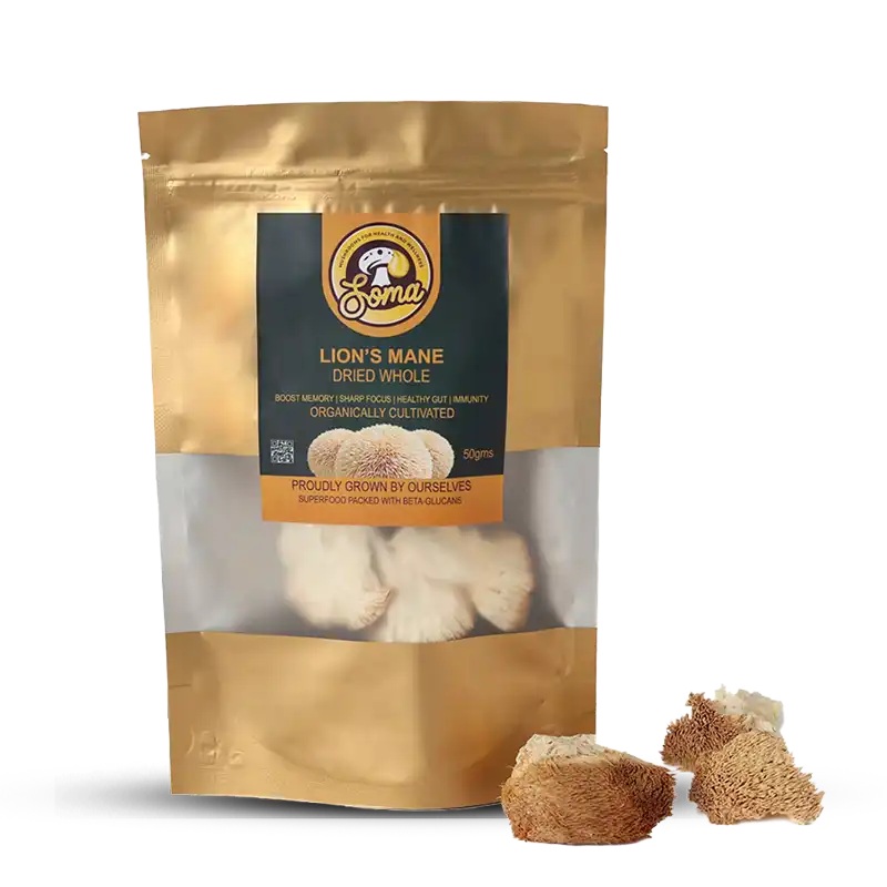 best medicinal mushrooms in India