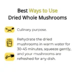 best medicinal mushrooms in India