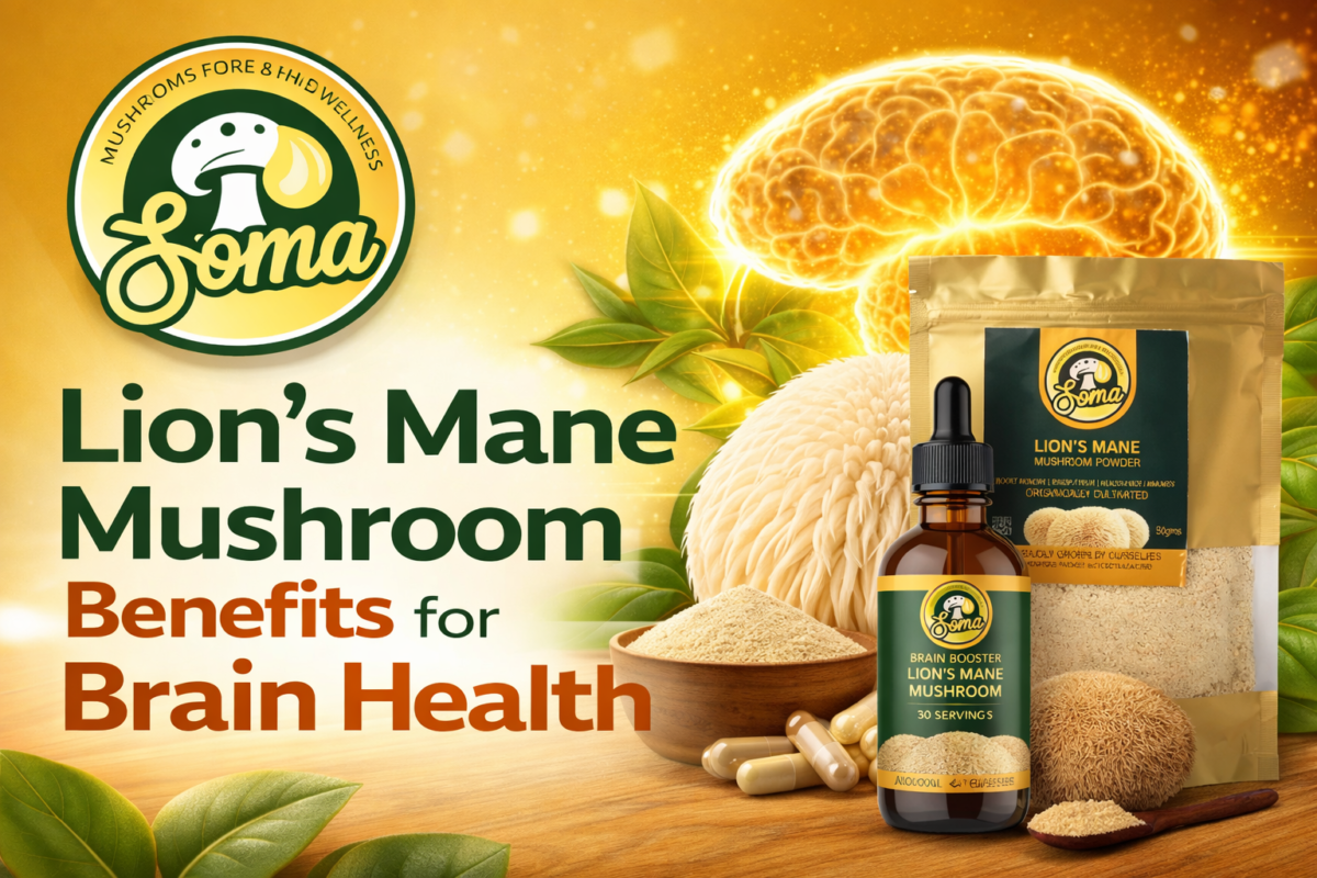 Lion’s Mane Mushroom Benefits for Brain Health