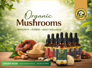 Mushroom Products