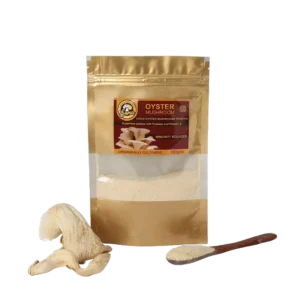 best medicinal mushrooms in India