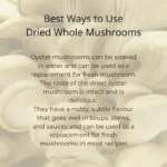 best medicinal mushrooms in India