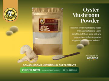Best Oyster Mushroom Powder