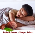 best medicinal mushrooms in India