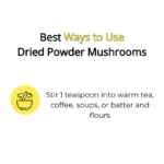 best medicinal mushrooms in India