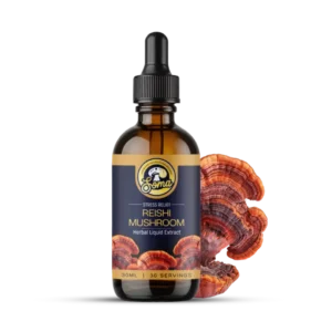 best medicinal mushrooms in India