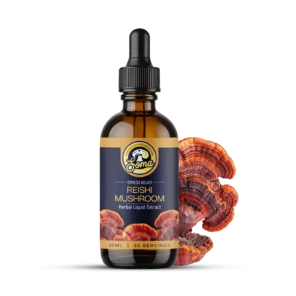 best medicinal mushrooms in India