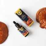 best medicinal mushrooms in India