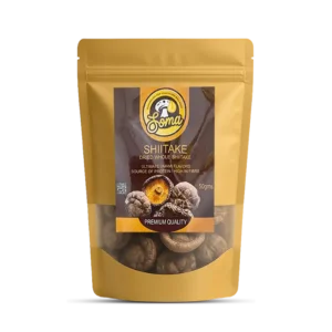 best medicinal mushrooms in India