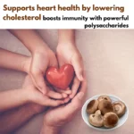 best medicinal mushrooms in India