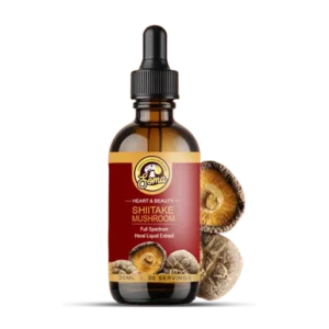 best medicinal mushrooms in India