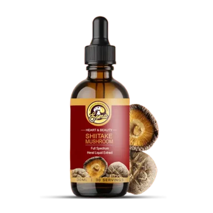 best medicinal mushrooms in India