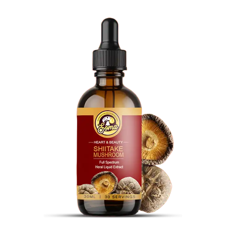 best medicinal mushrooms in India