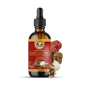 best medicinal mushrooms in India