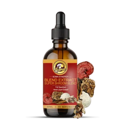 best medicinal mushrooms in India