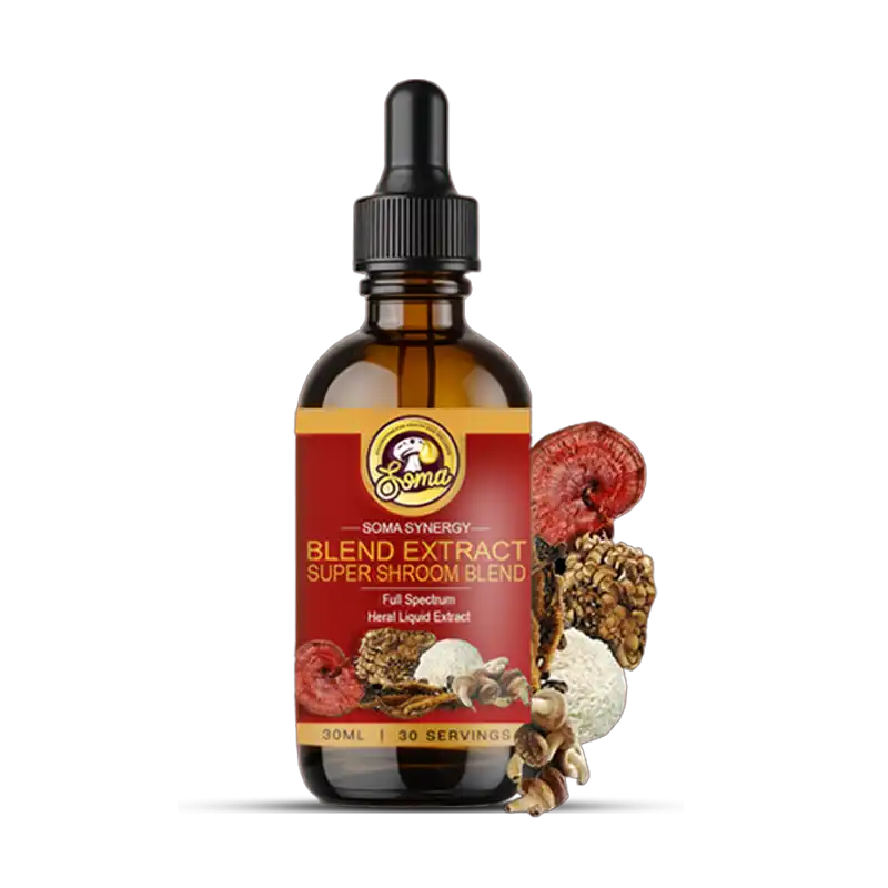 best medicinal mushrooms in India