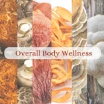 Medicinal Mushroom Supplements in India