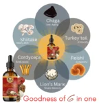 best medicinal mushrooms in India