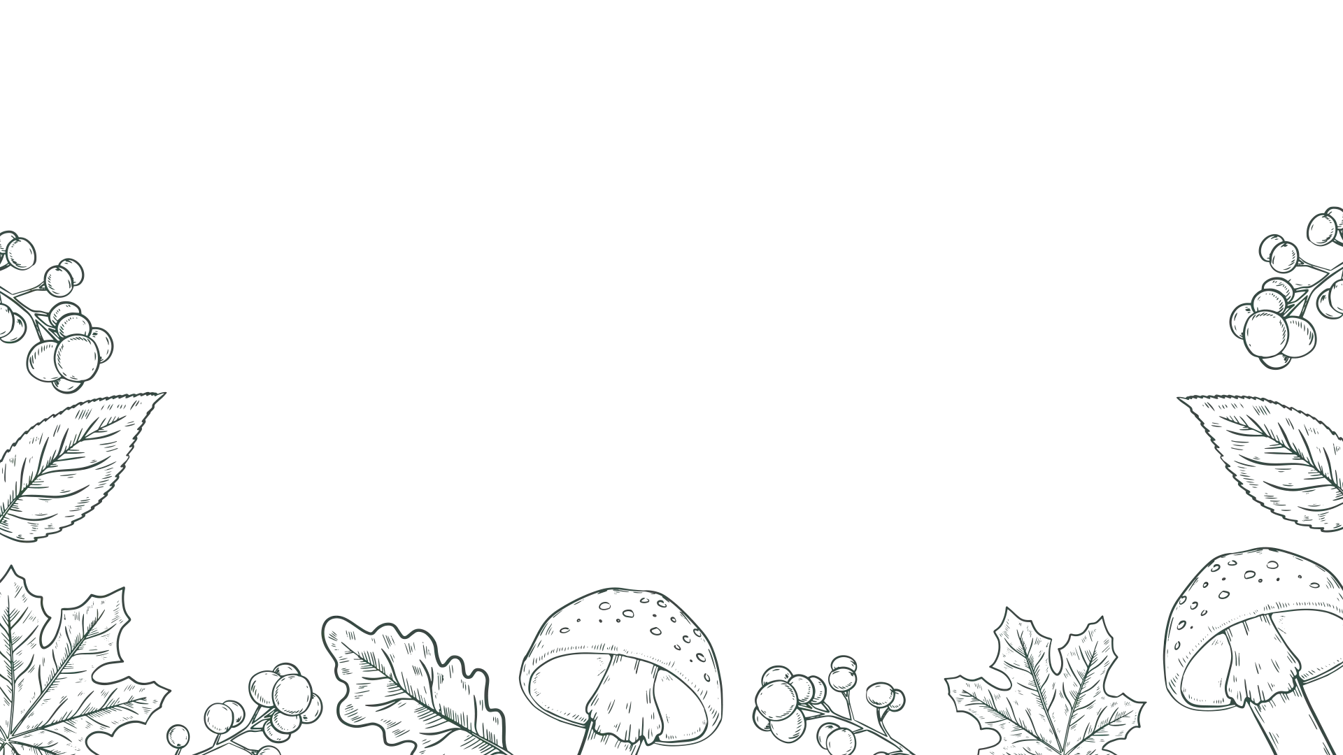 best medicinal mushrooms in India