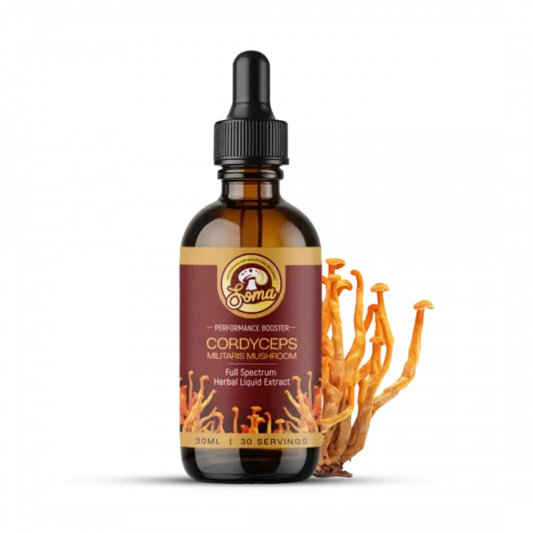 Cordyceps Mushroom