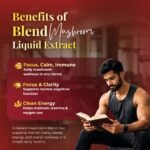 Super Mushroom Blend Extract Combo - Image 2