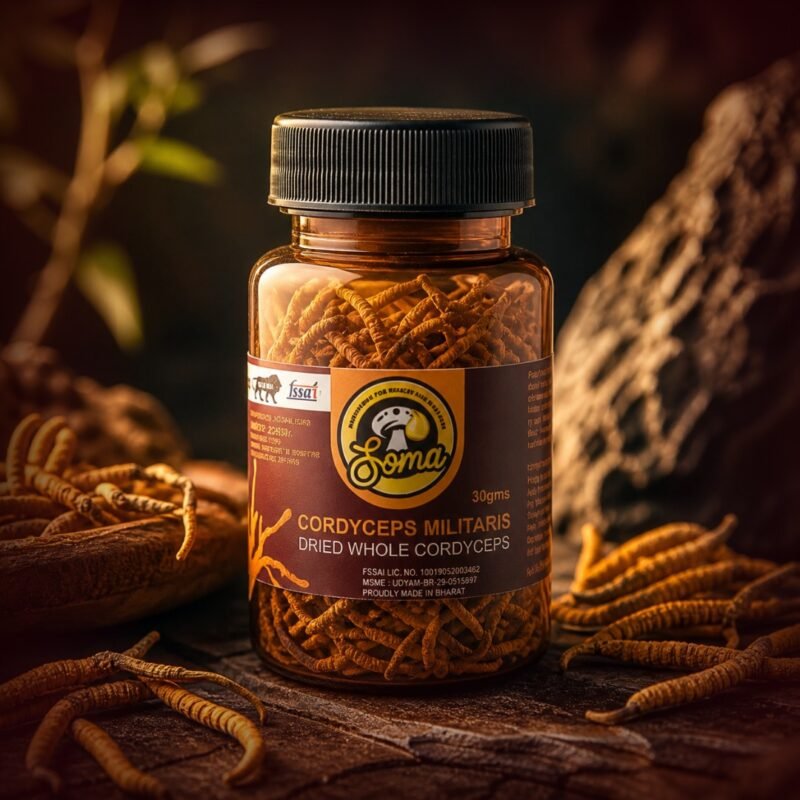 Cordyceps Mushroom Supplement
